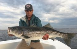 Stripers in Gloucester, MA